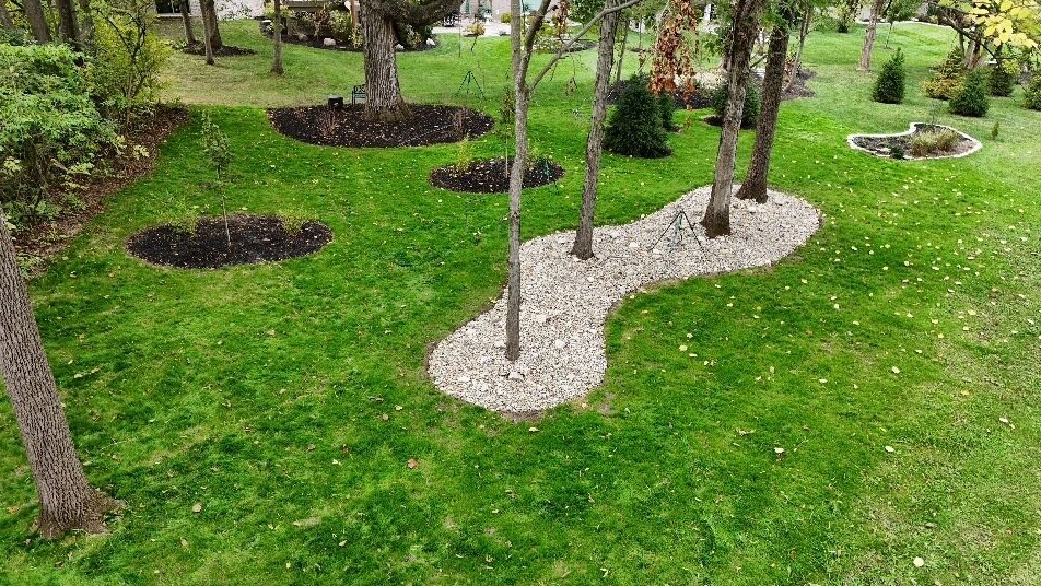 trees in a gravel flower bed